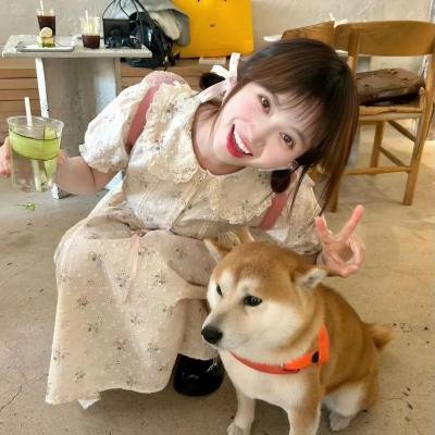 昨日之花 高清封面